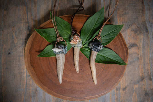 Deer Antler Tip Pendants
